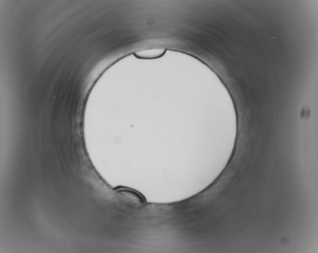 X0000110740912200907131118