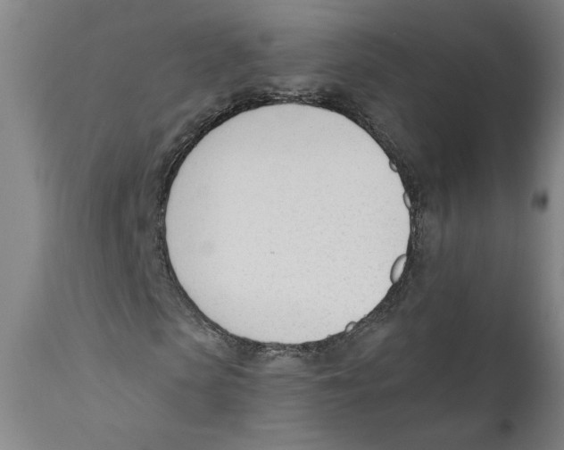 X0000110740913200907131117