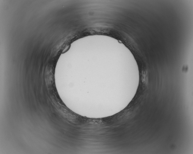 X0000110740915200907131117