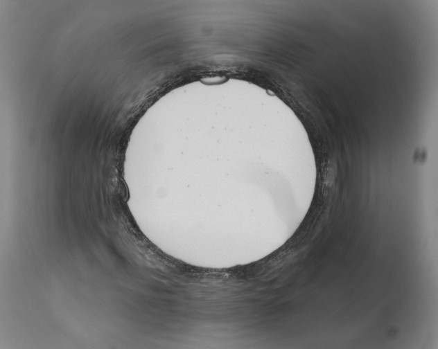 X0000110740916200907131117
