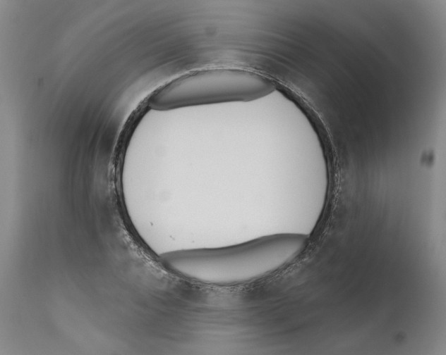 X0000110740928200907131117