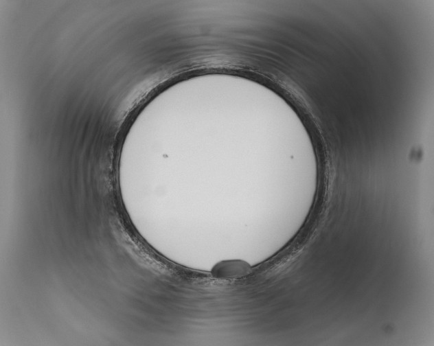 X0000110740930200907131118
