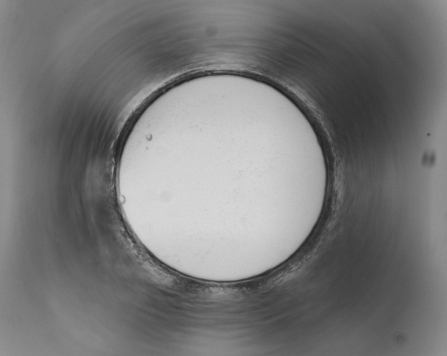 X0000110740933200907131118