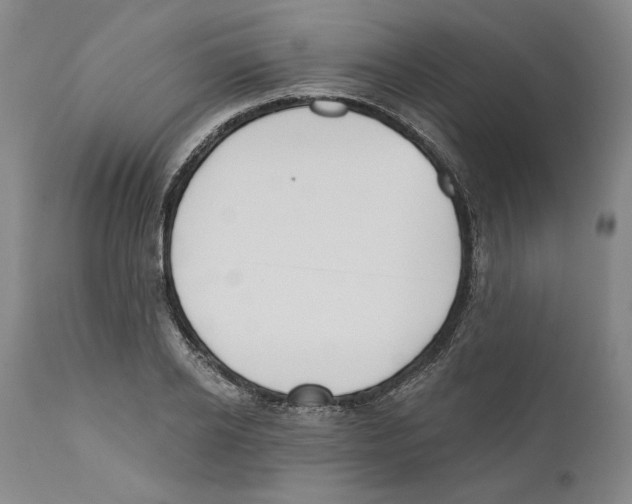 X0000110740934200907131118