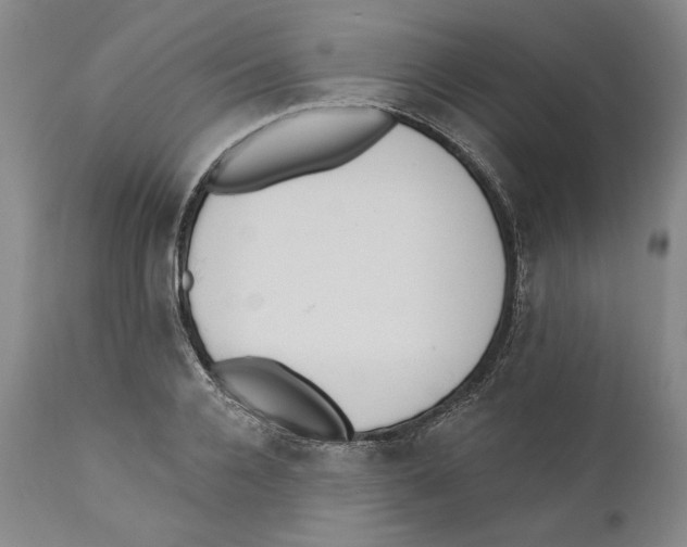 X0000110740936200907131118