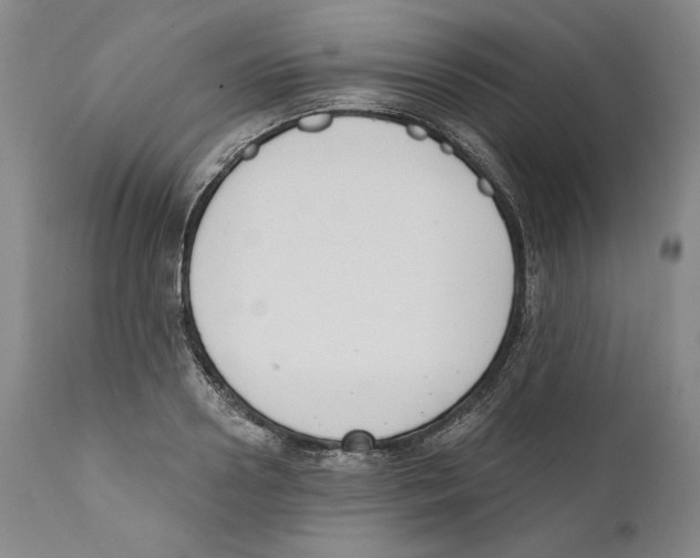 X0000110740938200907131118