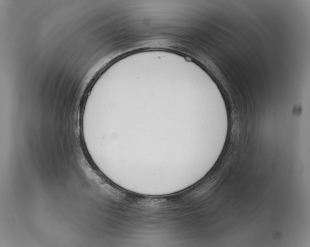 X0000110740939200907131118