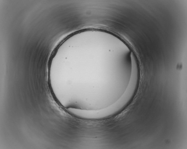X0000110740940200907131118