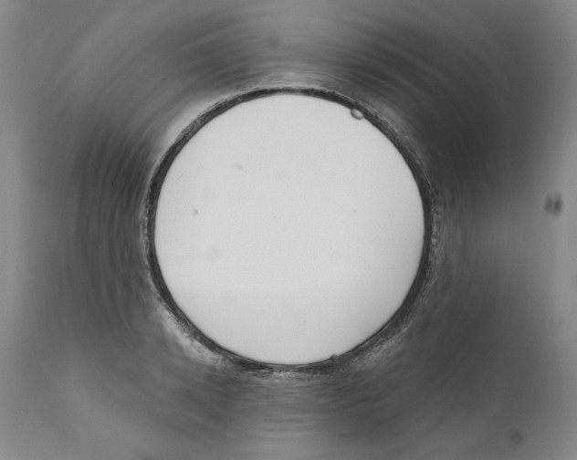 X0000110740942200907131118