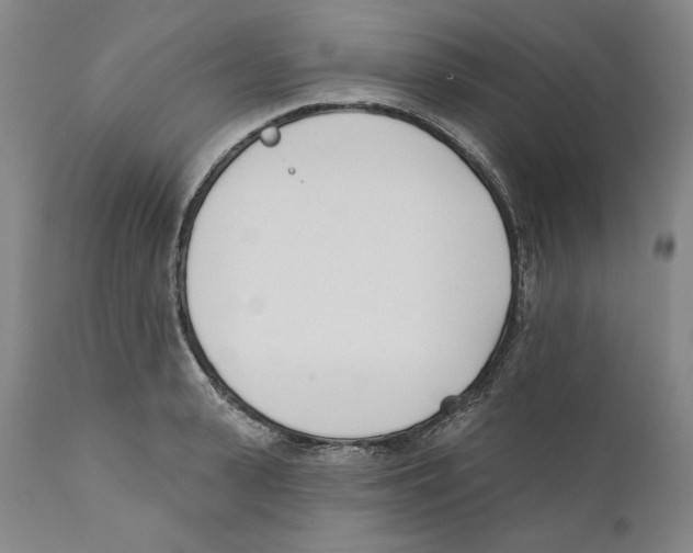 X0000110740943200907131118