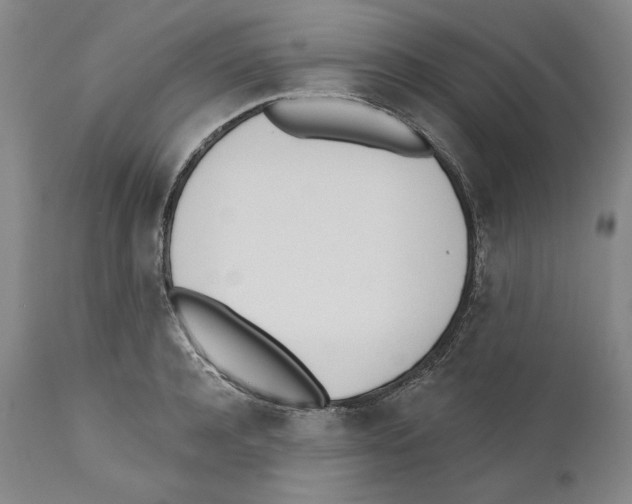 X0000110740944200907131118