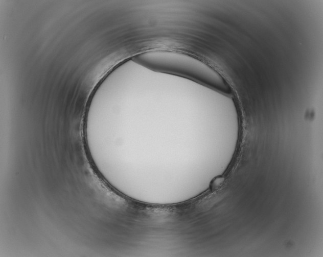 X0000110740946200907131118