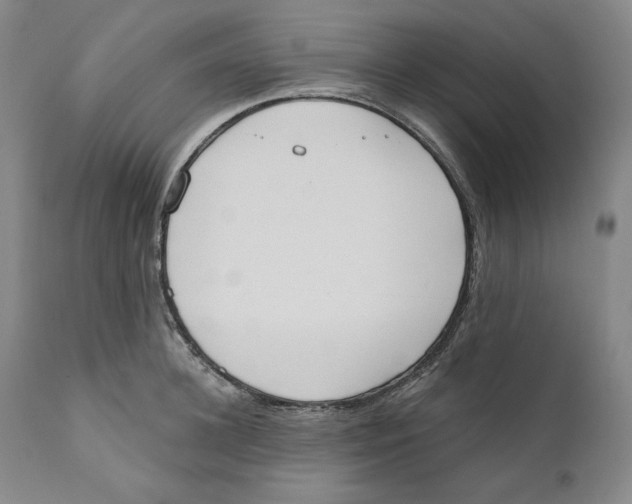 X0000110740948200907131118