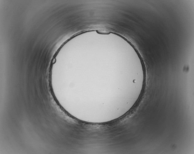 X0000110740949200907131118
