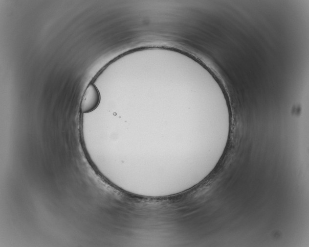 X0000110740951200907131118