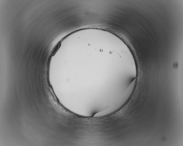 X0000110740952200907131118