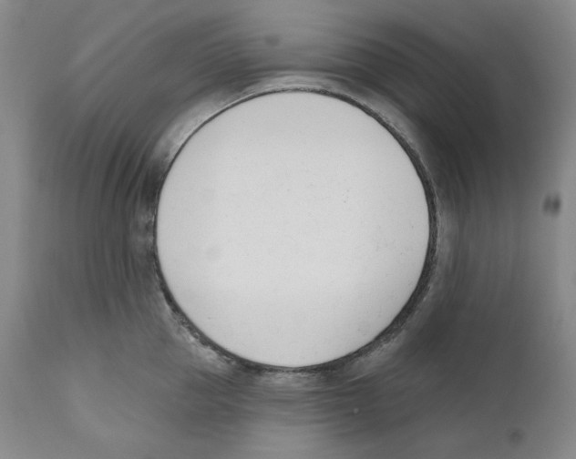 X0000110740953200907131118