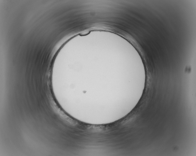 X0000110740955200907131118