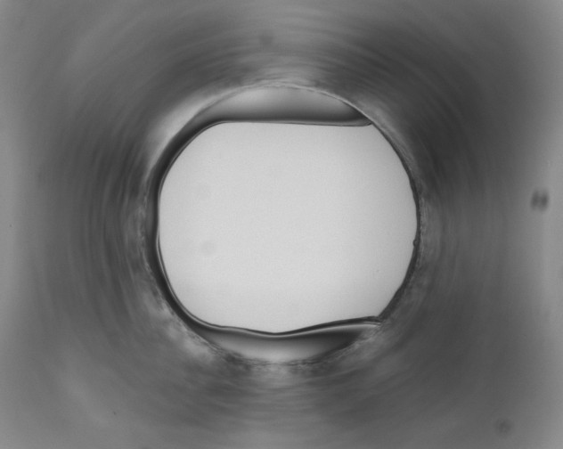 X0000110740956200907131118