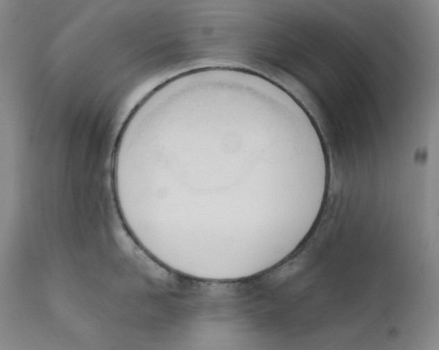 X0000110740958200907131118