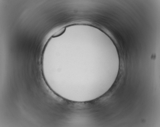 X0000110740959200907131118