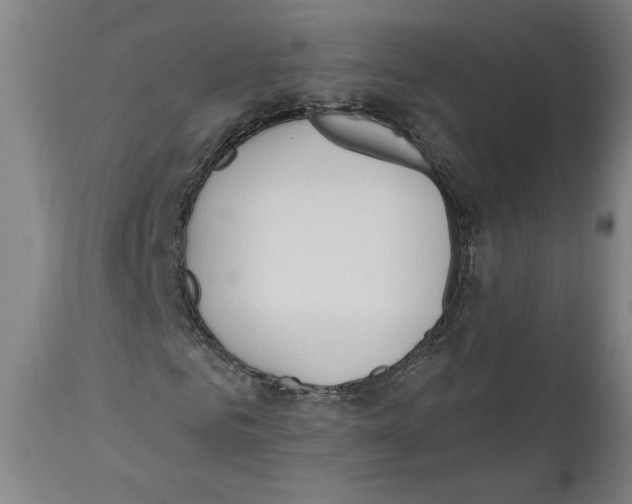 X0000110740961200907131117