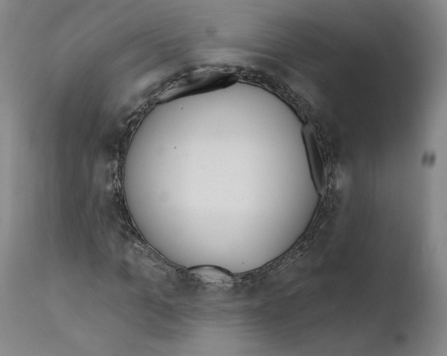 X0000110740965200907131117