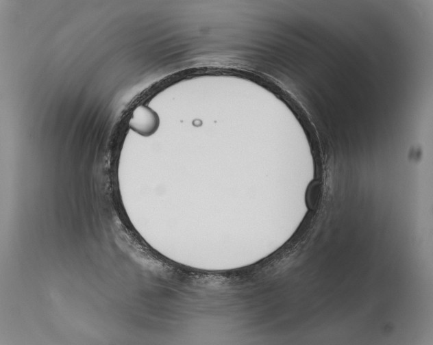 X0000110740971200907131117