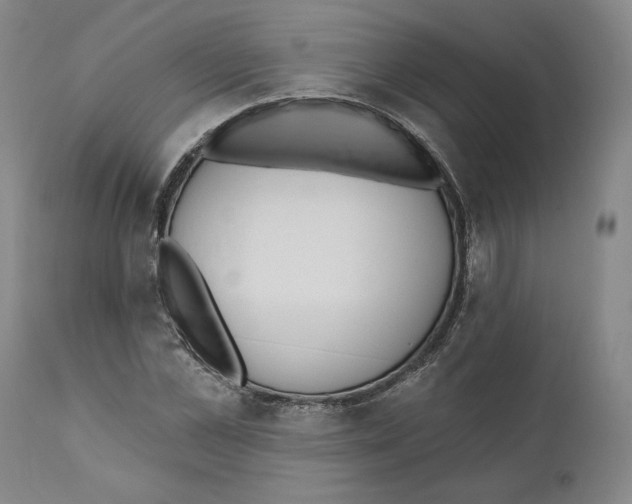 X0000110740973200907131117