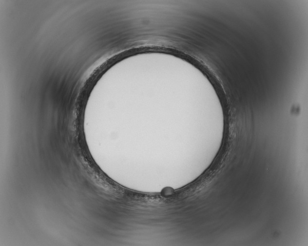 X0000110740975200907131117