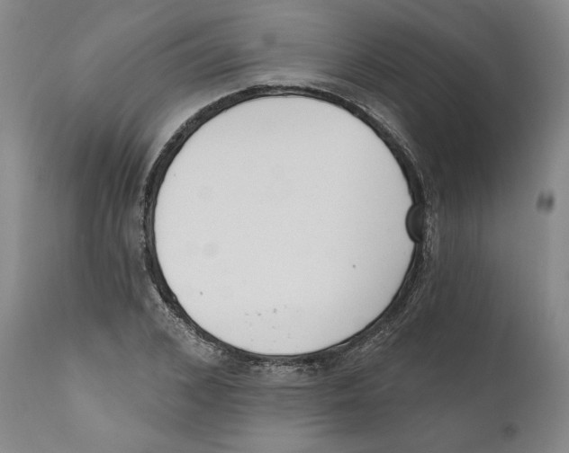 X0000110740976200907131117