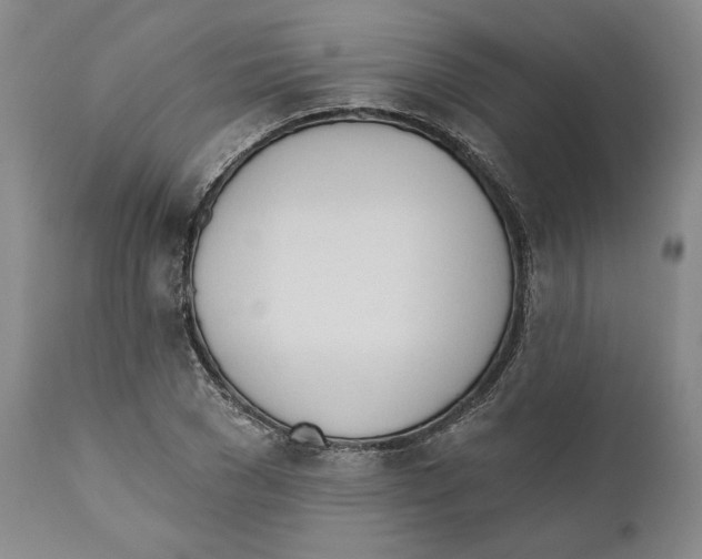 X0000110740977200907131117