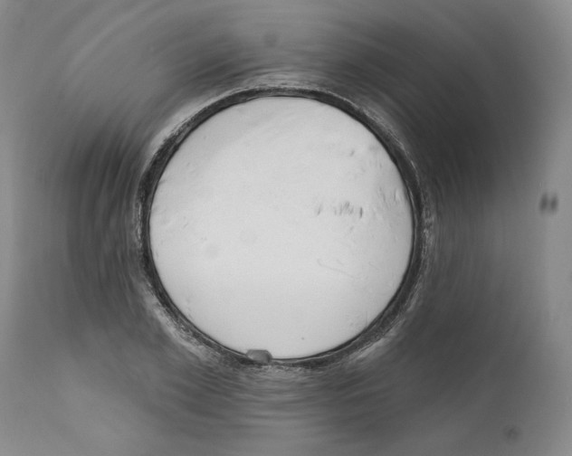X0000110740981200907131117