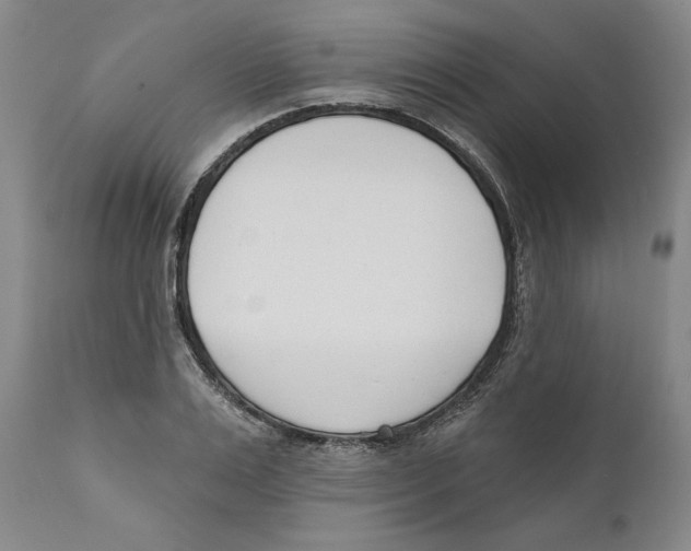 X0000110740983200907131117