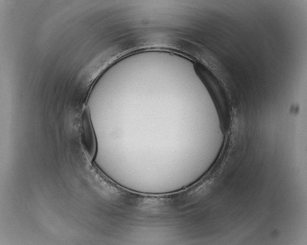 X0000110740985200907131117
