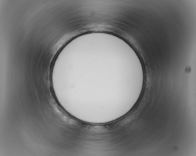 X0000110740986200907131117