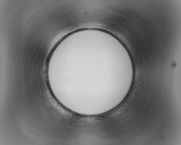 X0000110740990200907131117