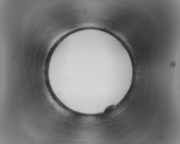 X0000110740991200907131117