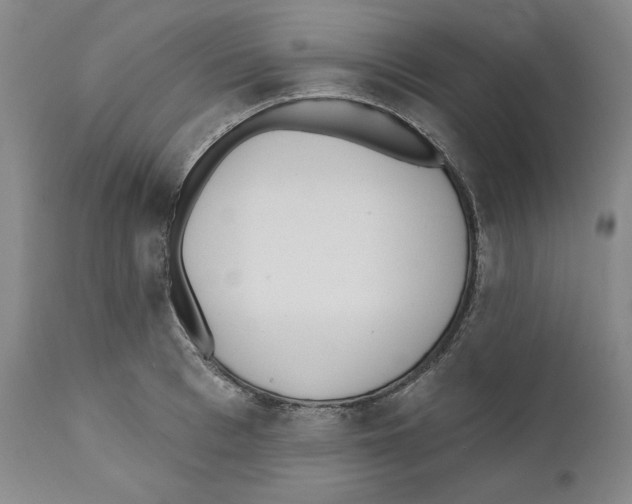 X0000110740993200907131117
