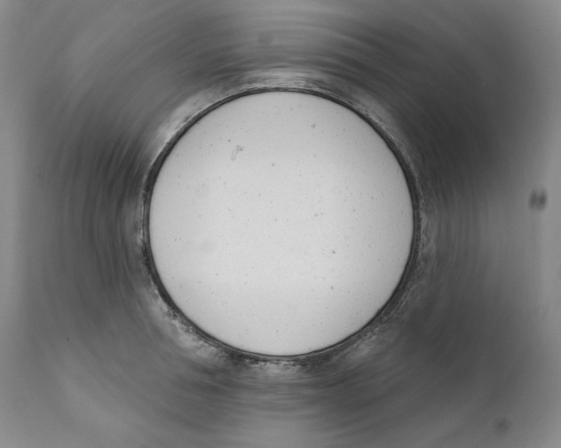 X0000110740994200907131117