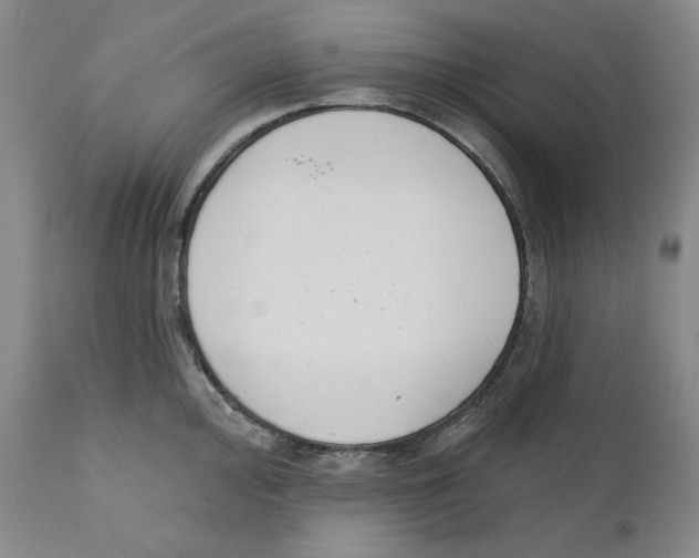 X0000110741000200907131117