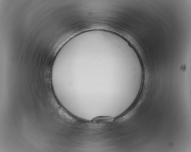 X0000110741001200907131117