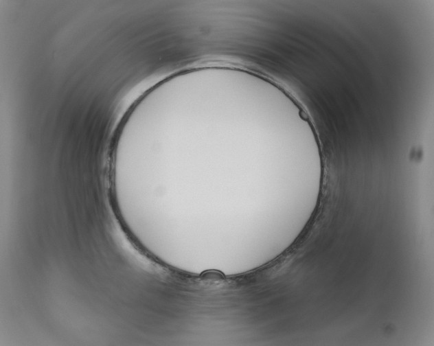 X0000110741003200907131117