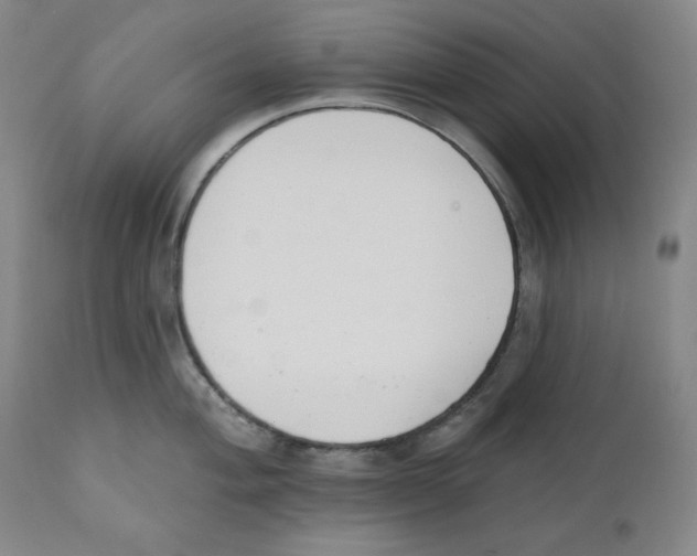 X0000110741004200907131117