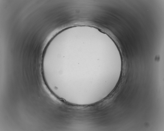 X0000110741005200907131116