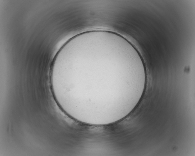 X0000110741006200907131116