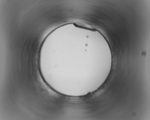 X0000110741007200907131116