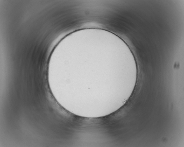 X0000110741008200907131116