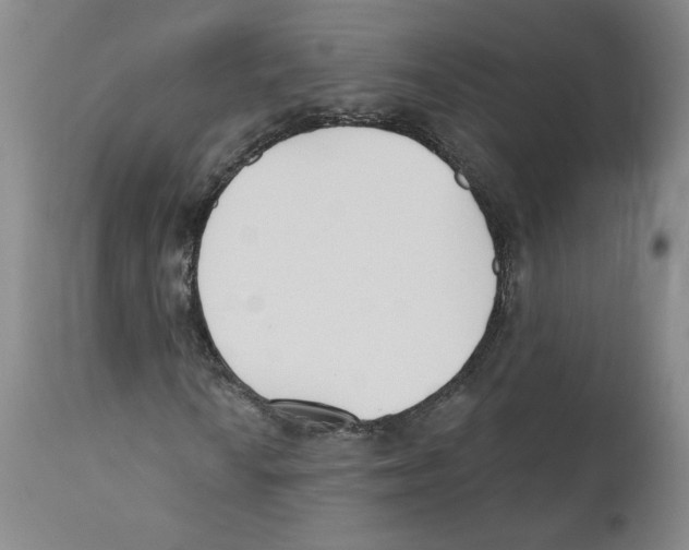 X0000110741010200907131116