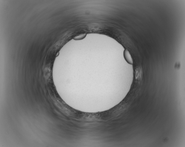 X0000110741011200907131116